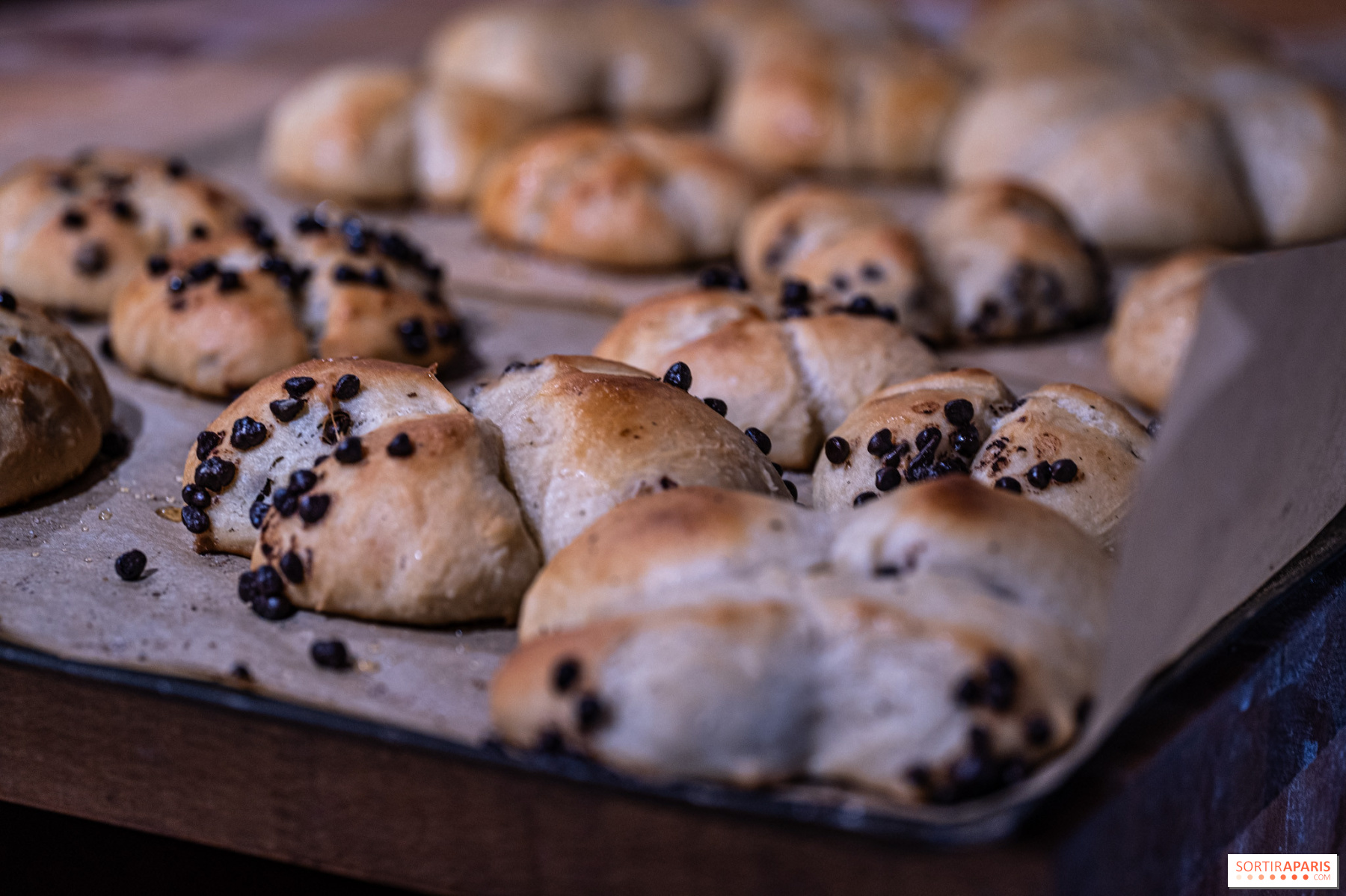 Les brioches vegan aux pépites de chocolat, dorées, sur leur plaque